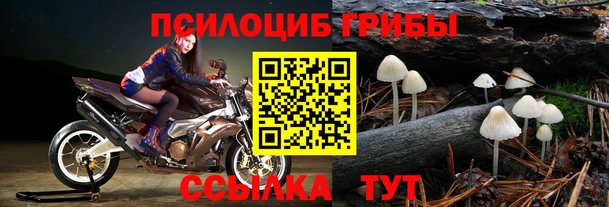 Белореченск  купить  сайты  Вход с VPN  Галлюциногенные грибы Cubensis 